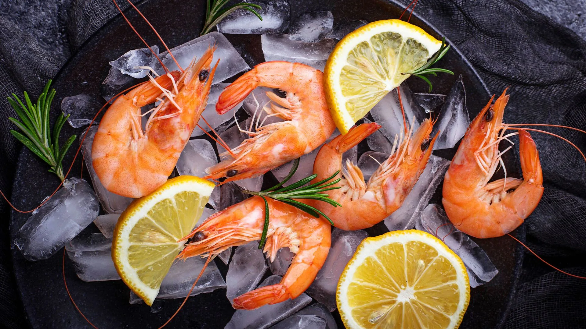 Premium tuna loin and fresh shrimp on dark slate